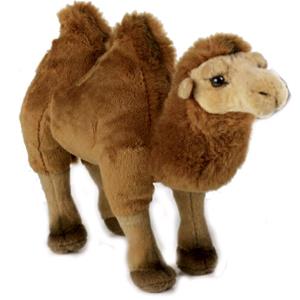 PELUCHE CAMMELLO BABY ASIA NATIONAL GEOGRAPHIC