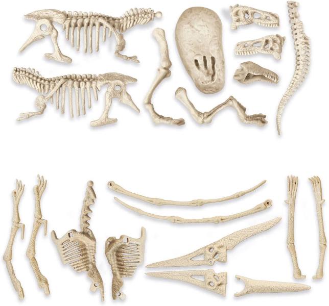 JURASSIC WORLD 3 - DINOSAURI: T-REX E PTENARODONTE KIT FOSSILI KIT PALEONTOLOGO