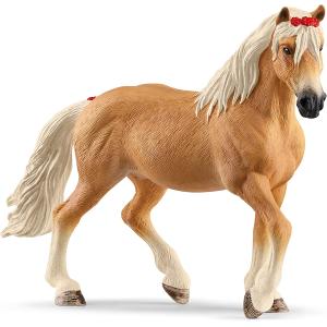 HORSE CLUB GIUMENTA HAFLINGER