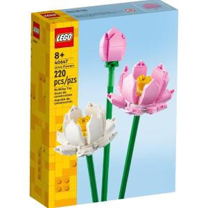 LEGO Creator 40725 Fiori di Ciliegio, Set per Adulti e Bambini 8+ Anni,  Regalo per San Valentino, per Donna, Uomo, Lei o Lui - LEGO - LEL Flowers -  Set mattoncini - Giocattoli