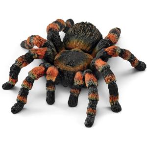 ANIMALI WILD LIFE TARANTOLA