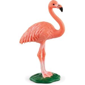 ANIMALI WILD LIFE FENICOTTERO