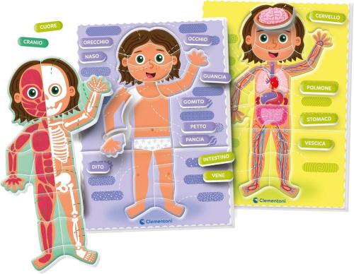 SAPIENTINO MONTESSORI IL CORPO UMANO