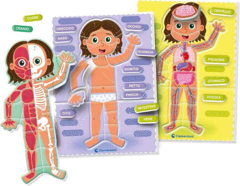 SAPIENTINO MONTESSORI IL CORPO UMANO