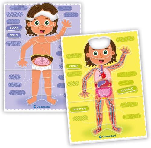 SAPIENTINO MONTESSORI IL CORPO UMANO