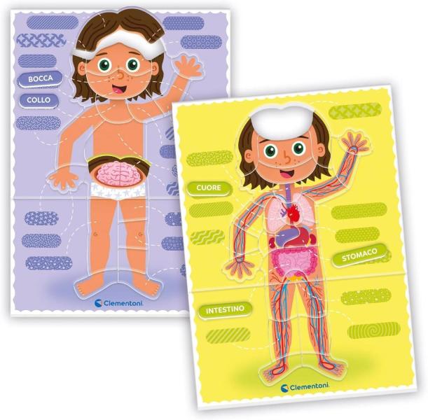 SAPIENTINO MONTESSORI IL CORPO UMANO