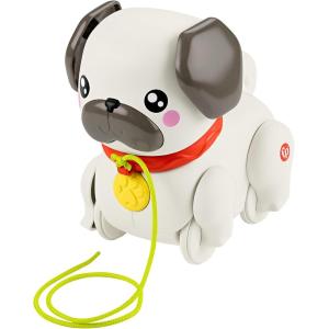 CARLINO CAMMINA CON ME