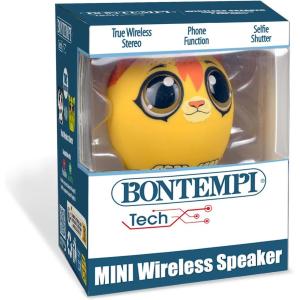 CASSA WIRELESS MINI LEONE