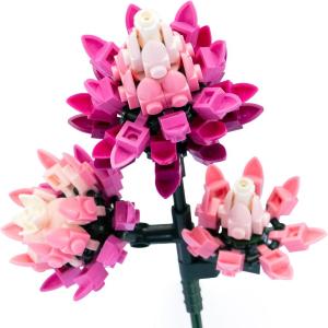 FLOWER MATTONCINI - CELOSIA