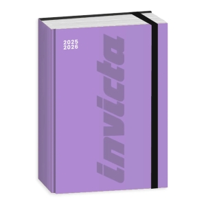 DIARIO AGENDA DATATO 16 MESI INVICTA LILLA