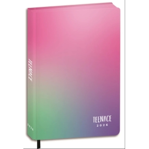 DIARIO TEENACE STANDARD 12 MESI SPECIAL ROSA SFUMATO