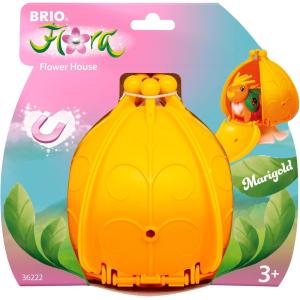 FLORA MARIGOLD - LA CASA IN FIORE 22000