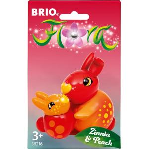 FLORA ZINNIA E PEACH 21600