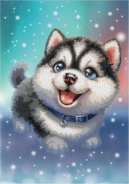 DIAMANTINY LEVEL UP HUSKY