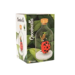 A DI ARTE - SET COSTRUZINI COCCINELLA