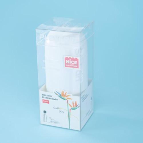 FIORI STRELITZIA REGINAE AITON CON VASO 