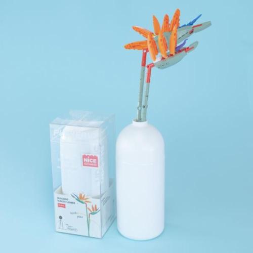 FIORI STRELITZIA REGINAE AITON CON VASO 