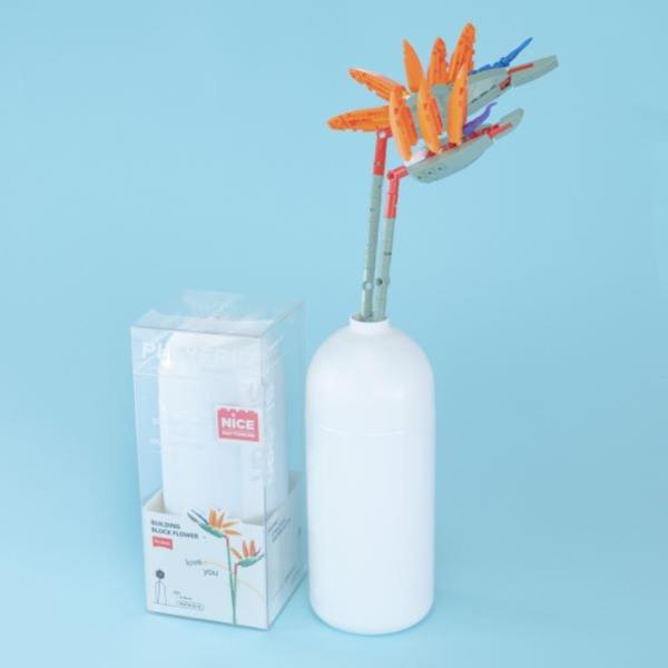 FIORI STRELITZIA REGINAE AITON CON VASO 