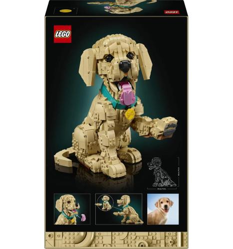 LEGO ICONS ICONS GOLDEN RETRIVER CANE 