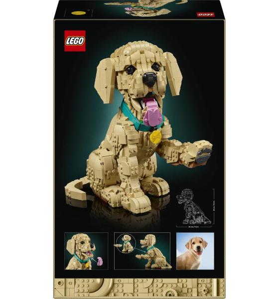 LEGO ICONS ICONS GOLDEN RETRIVER CANE 