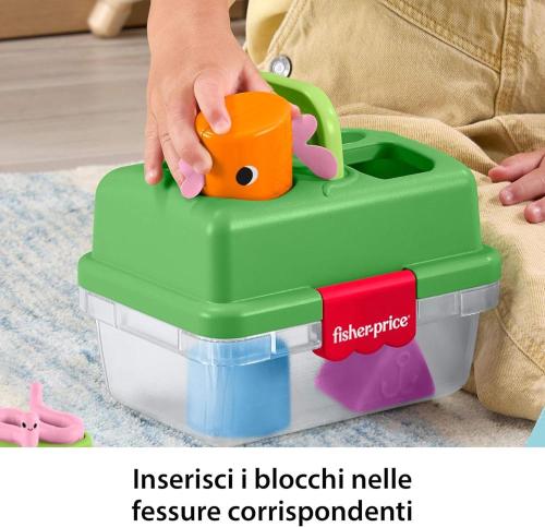 CASSETTA CERCAFORME AMICI DELLA NATURA