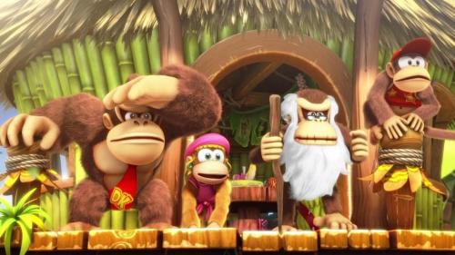 NINTENDO SWITCH DONKEY KONG COUNTRY: TROPICAL FREEZE