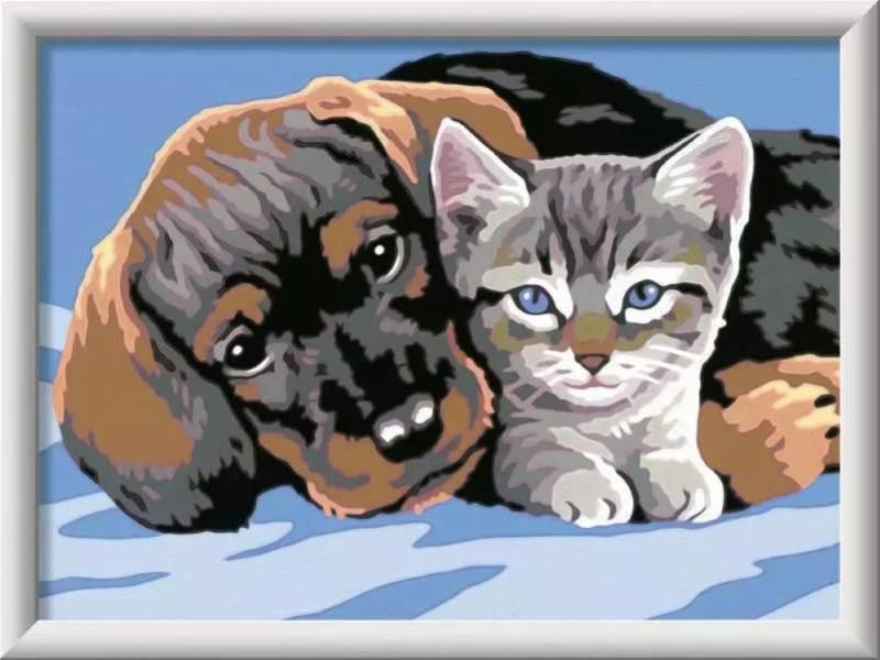 CREART SERIE D - AMICIZIA SPECIALE