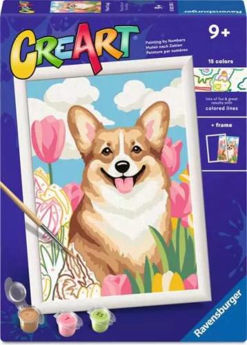 CREART SERIE D - CORGI