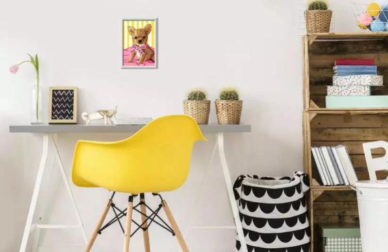 CREART SERIE E - PICCOLO CHIHUAHUA