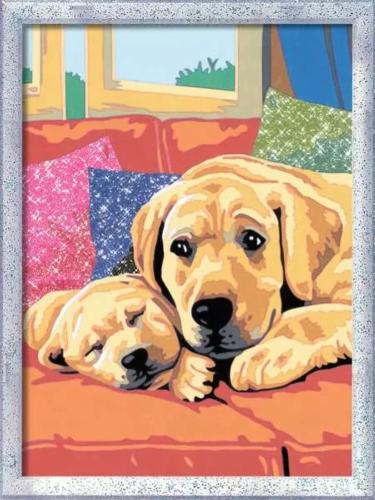 CREART SERIE D - AMORE DI CAGNOLINI