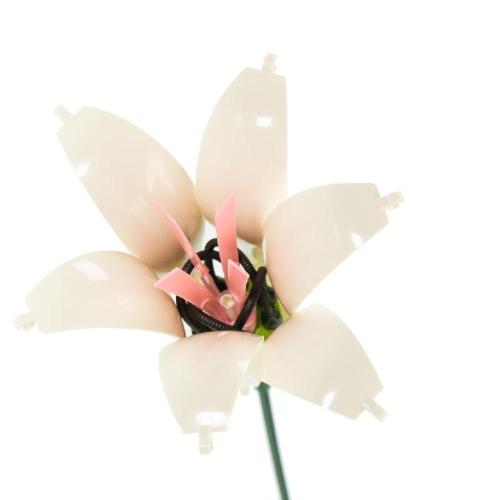 FLOWER MATTONCINI - GIGLIO