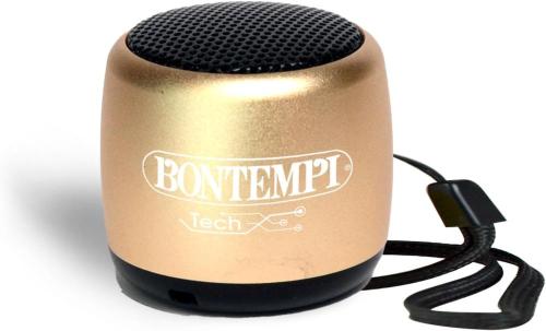 MINI SPEAKER CASSA ALTOPARLANTE WIRELESS ORO