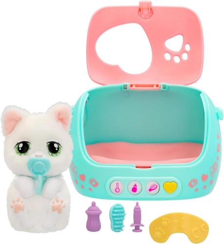 BABY PAWS JUST BORN CUCCIOLO DI GATTO