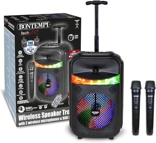 KARAOKE CASSA TROLLEY ACUSTICA WIRELESS CON 2 MICROFONI LUCI RGB FUNZIONI TWS 39.5x22.5x19 CM