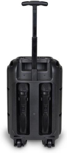 KARAOKE CASSA TROLLEY ACUSTICA WIRELESS CON 2 MICROFONI LUCI RGB FUNZIONI TWS 39.5x22.5x19 CM