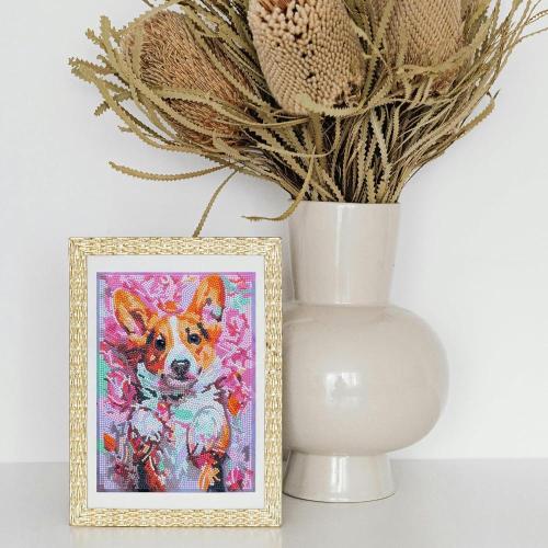 DIAMANTINY LEVEL UP - CAGNOLINO (1)