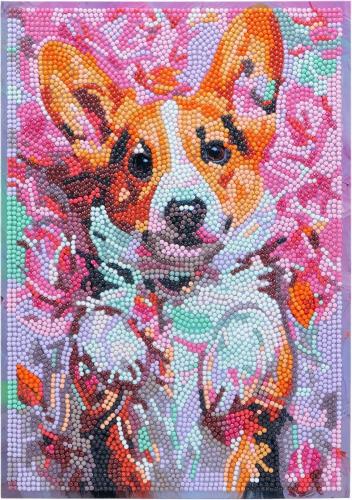 DIAMANTINY LEVEL UP - CAGNOLINO (1)