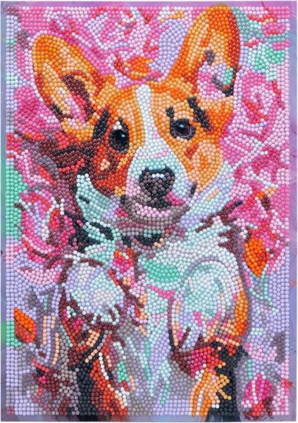 DIAMANTINY LEVEL UP - CAGNOLINO (1)