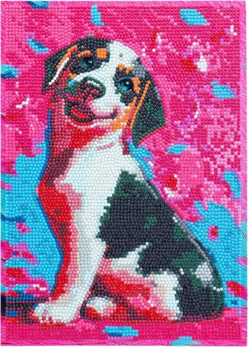 DIAMANTINY LEVEL UP - CAGNOLINO (2)