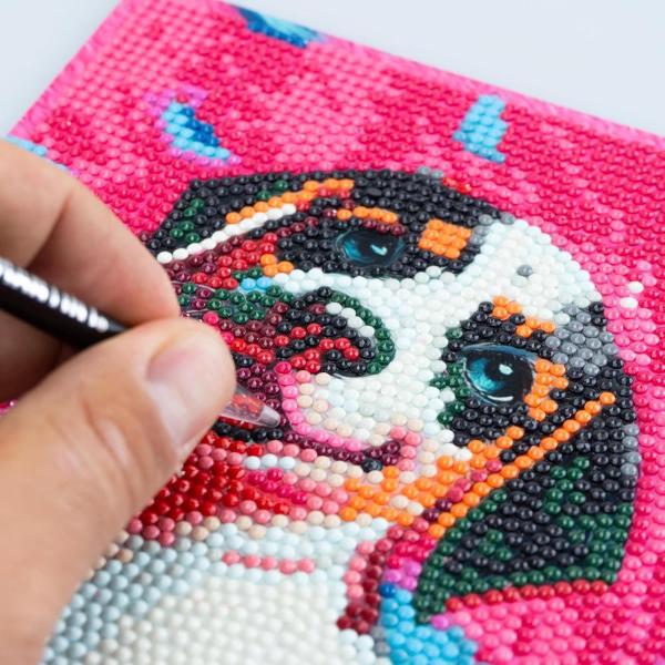 DIAMANTINY LEVEL UP - CAGNOLINO (2)