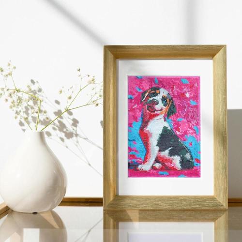 DIAMANTINY LEVEL UP - CAGNOLINO (2)