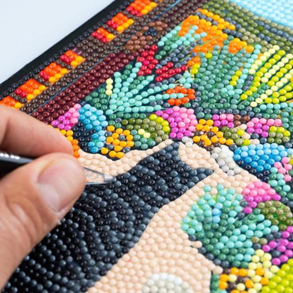 DIAMANTINY LEVEL UP - TROPICAL MOOD (3)