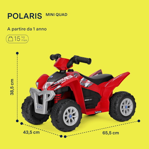 MINI MOTO QUAD POLARIS