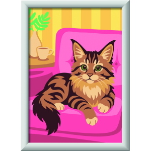 CREART SERIE E - GATTINO MAINE COON