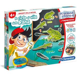 SCIENZA E GIOCO CICLO RANA CON MAGNETI
