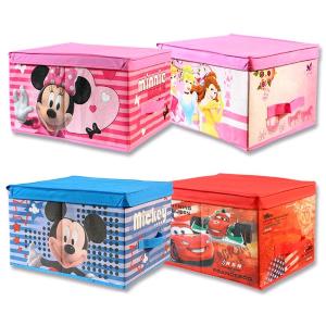 BOX SCATOLA CONTENITORE PORTATUTTO CARS