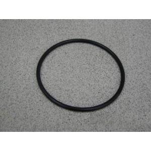 INTEX Anello Per Coperchio Pompa Filtro 28604/28638/28636 E Ozonatore 28672/28674 (10325)