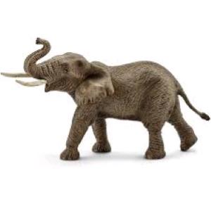 ANIMALI WILD LIFE SAVANA ELEFANTE AFRICANO MASCHIO