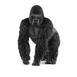 ANIMALI SAVANA SELVAGGI GORILLA MASCHIO (5)