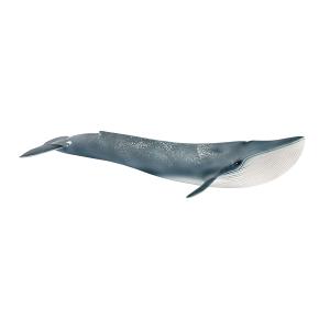 ANIMALI WILD LIFE BALENOTTERA AZZURRA